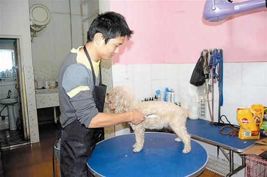 点击查看高清原图