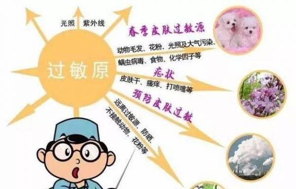 猫咪常见过敏原及诊断治疗方法解析（了解猫咪过敏源，保护它们的健康）