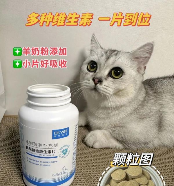 猫咪喝羊奶的好处和注意事项（羊奶对猫咪的营养补充和消化系统影响）