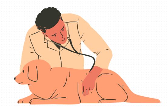 小狗缺钙前腿弯曲