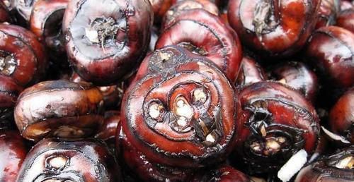 宠物荸荠食谱指南（狗狗可以吃荸荠和马蹄吗）