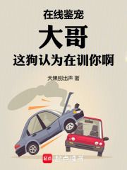 在线鉴宠，大哥这狗认为在训你啊