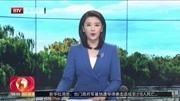 上海动物园:美洲红鹮首次成功自然繁殖