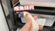 给宠物蛇的嘴角上药，我看着都疼！