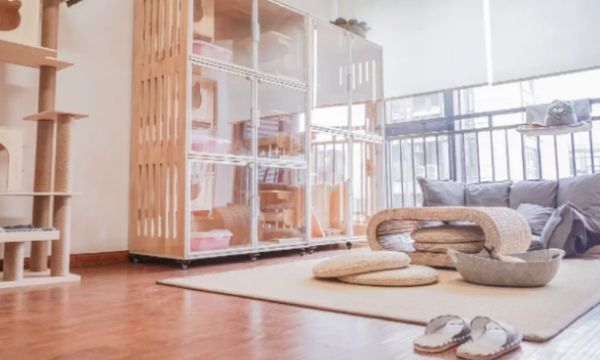 回顾“我帮他养猫，猫猝死凭啥让我赔12万？”结局激动到哇哇大哭