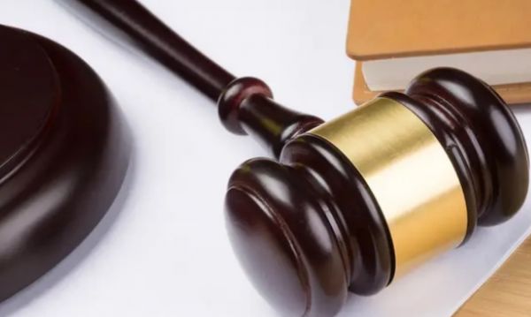 回顾“我帮他养猫，猫猝死凭啥让我赔12万？”结局激动到哇哇大哭