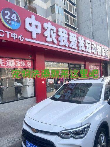 宠物店欢乐多
