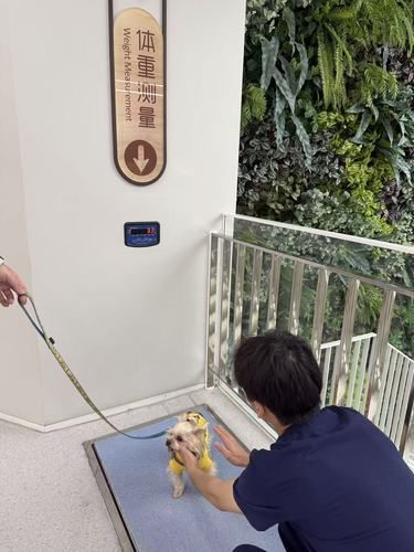 西城漂亮的动物医院