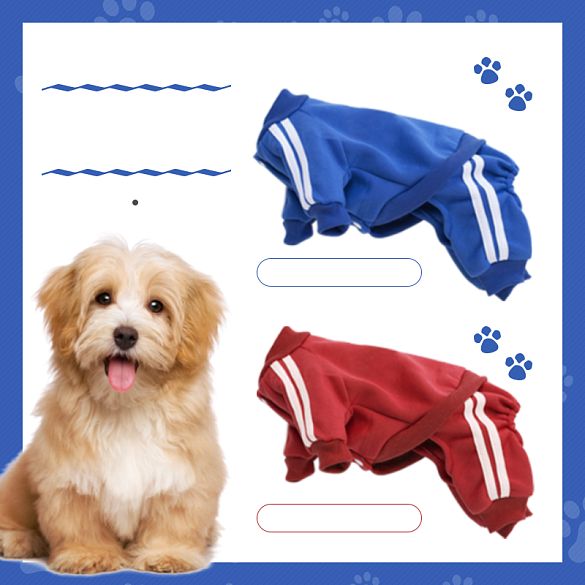 狗狗服饰宠物背景