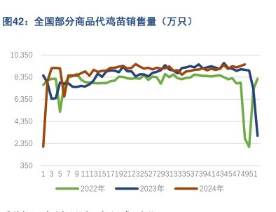 全国部分商品代鸡苗销售量（万只） - 2024年12月 - 行业研究数据