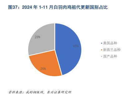 2024年1-11月白羽肉鸡祖代更新国别占比 - 2024年12月 - 行业研究数据