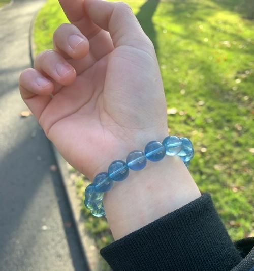 黄尾蓝魔鬼的饲养指南（如何让你的黄尾蓝魔鬼健康成长）