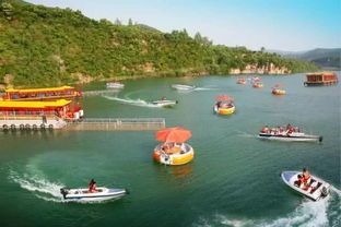 为宠物打造清凉避暑胜地