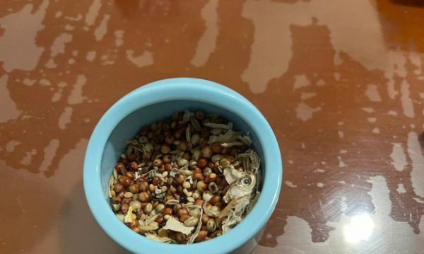 喂养仓鼠的渣粮问题（如何选择适合仓鼠的营养均衡渣粮）