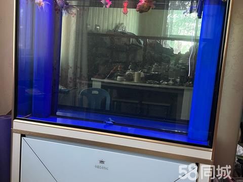 焦作花鸟鱼虫·家里闲置鱼缸,有喜欢的电话联系 价钱是850元.