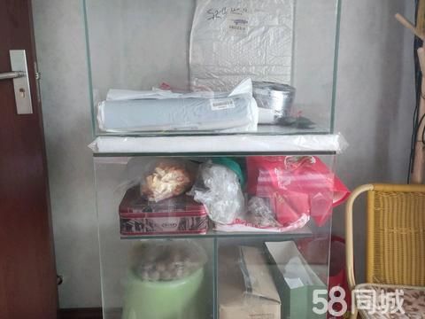 焦作花鸟鱼虫·水族超白鱼缸