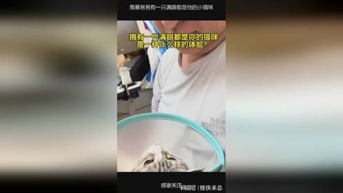 羡慕爸爸有一只满眼都是他的小猫咪