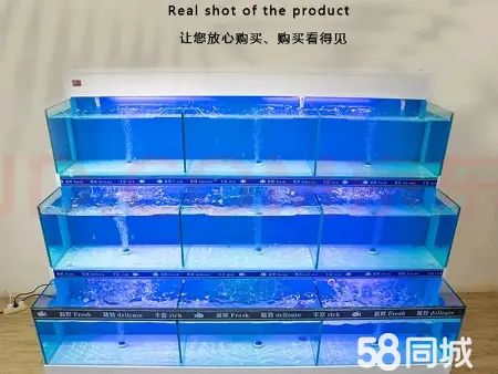 百色花鸟鱼虫·销售海鲜池定制安装，移动海鲜池安装，土建海鲜池定制，批发定制海鲜池制作