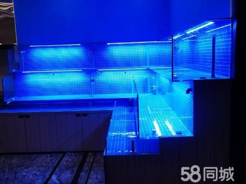 百色花鸟鱼虫·鱼缸，鱼池，海鲜缸制作，维修，维护等周边服务