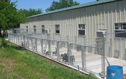 五星级犬舍有哪些