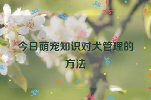 今日萌宠知识对犬管理的方法