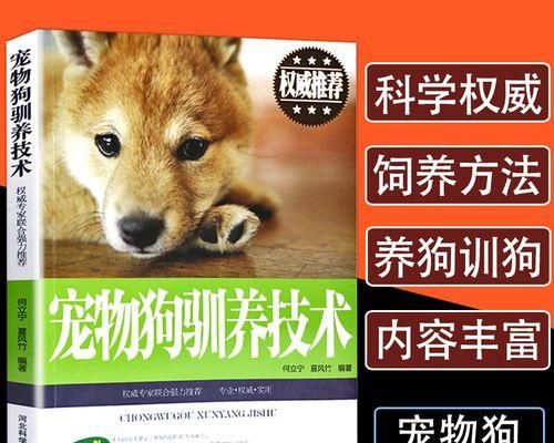 宠物狗养殖的要求及注意事项（了解宠物狗养殖要求，打造健康快乐的伙伴生活）