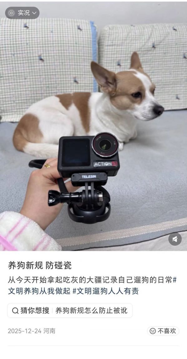 网友分享防碰瓷办法 图片来源社交平台