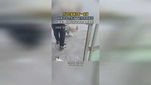 养了只猫咪生了一窝猫，爸爸不仅全养活了还养得挺胖的