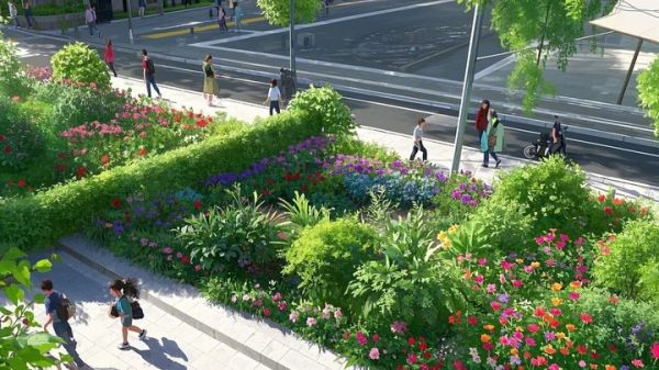 猪笼草可以扦插繁殖吗 猪笼草养殖方法