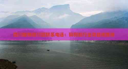 四川宠物旅行团联系电话：狗狗旅行业务咨询热线