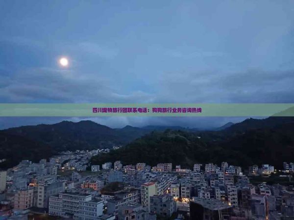 四川宠物旅行团联系电话：狗狗旅行业务咨询热线