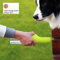 宠物狗旅行杯怎么用的啊