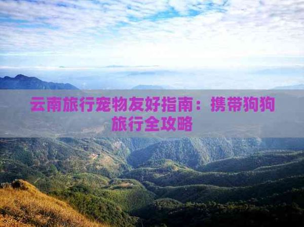 云南旅行宠物友好指南：携带狗狗旅行全攻略