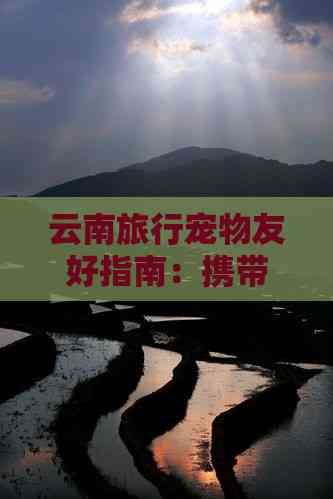 云南旅行宠物友好指南：携带狗狗旅行全攻略