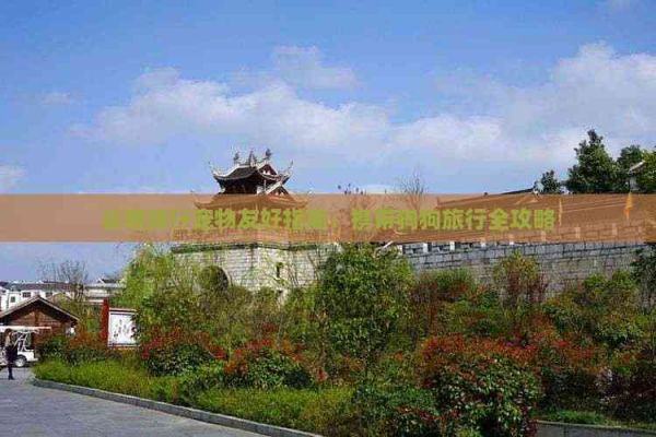 云南旅行宠物友好指南：携带狗狗旅行全攻略