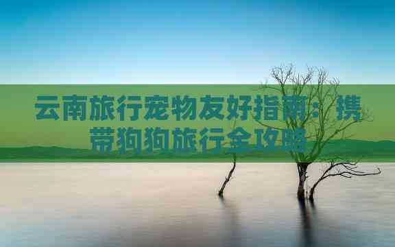 云南旅行宠物友好指南：携带狗狗旅行全攻略