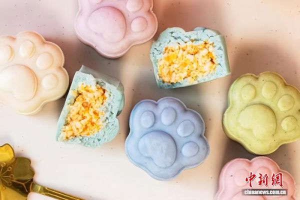 台青逐梦宠物经济:与“毛孩子”共同成长