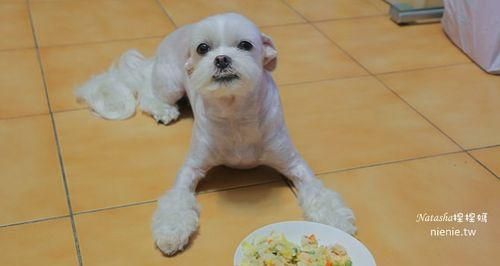 萝卜汁对狗狗的好处（宠物健康从饮食开始）