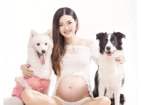 怀孕期养狗指南：宠物与孕妇的和谐共处秘诀