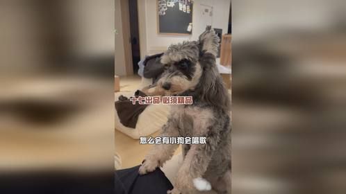 觉得好听的扣1！不好听的扣……