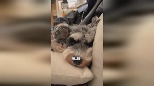 您拨打的用户正在进入睡眠中……