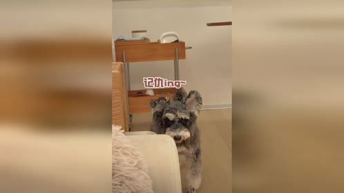 呜呜呜来人喂小狗花生！！！