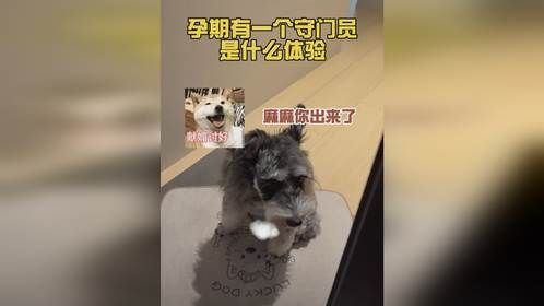 这次我来当麻麻的守门员！