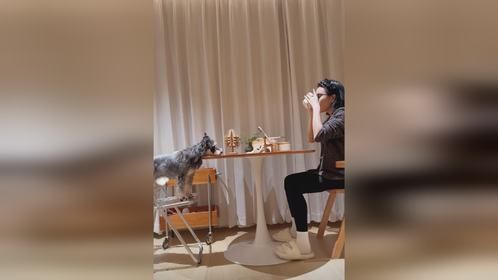 我望眼欲穿~看我吃不到的饭