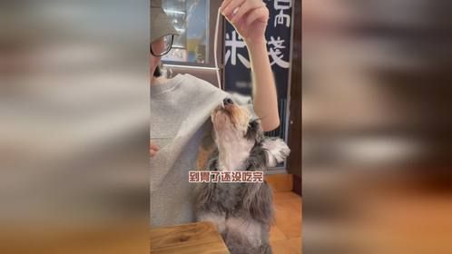 太香了！九九成稀罕物~