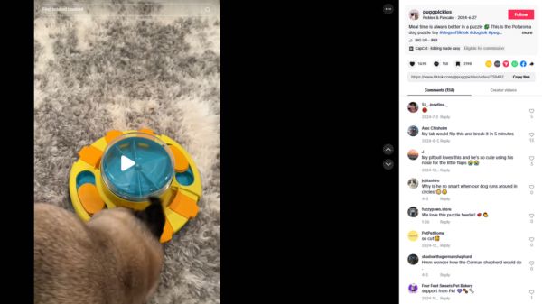 7天销量飙升190%，TikTok宠物赛道大爆！