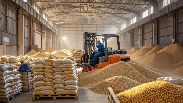 宠物兔的多少钱 一只兔子多少钱兔子价格多少钱一只