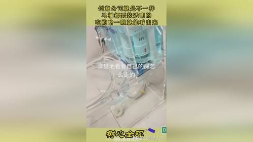 创意公司就是不一样，马桶都要装透明的，吃的啥一眼就能看出来