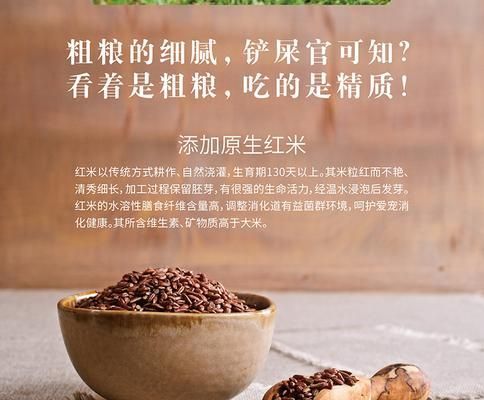 宠物狗的粗粮饮食要点（了解狗狗所需的粗粮和饮食习惯，让它吃得健康快乐）