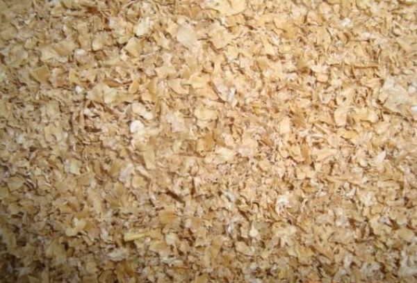 迷你猪多少钱一只幼崽 小猪崽大概多少钱一只